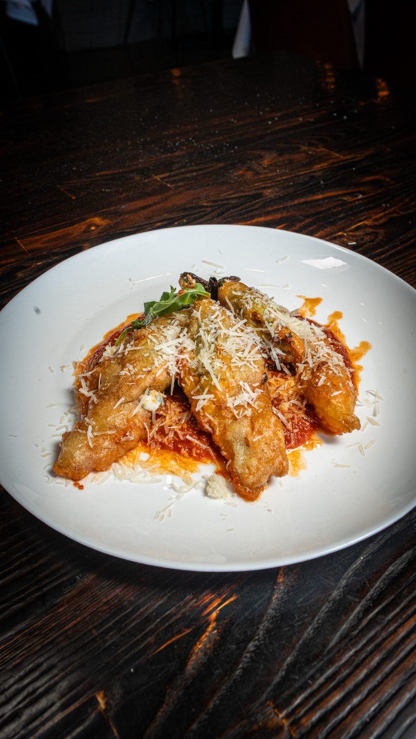 Fried zucchini blossoms with tomato sauce, grated cheese, and basil on a white plate.